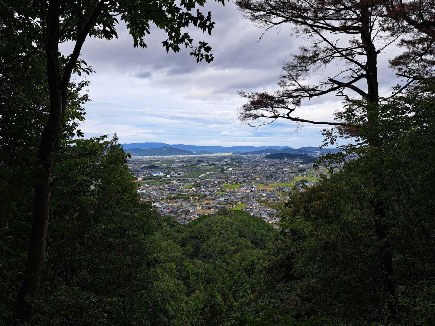 所々、見晴らしが良くて嬉しい😃