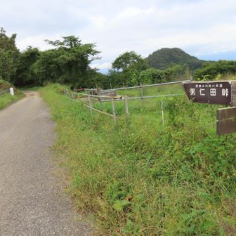 林道を歩いて粥新田峠を目指しました。