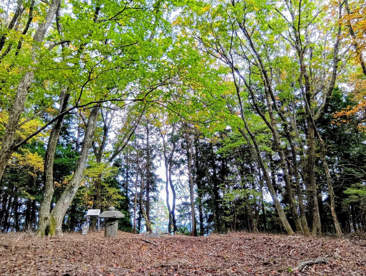 経ヶ塚山山頂域✨️