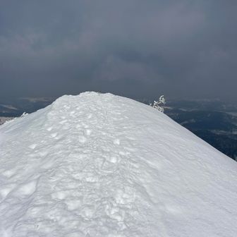 ビクトリーロード🙌