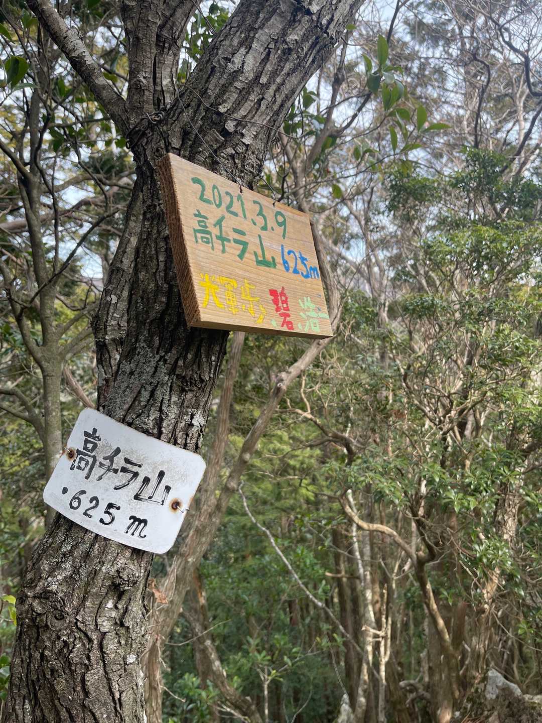 高チラ山