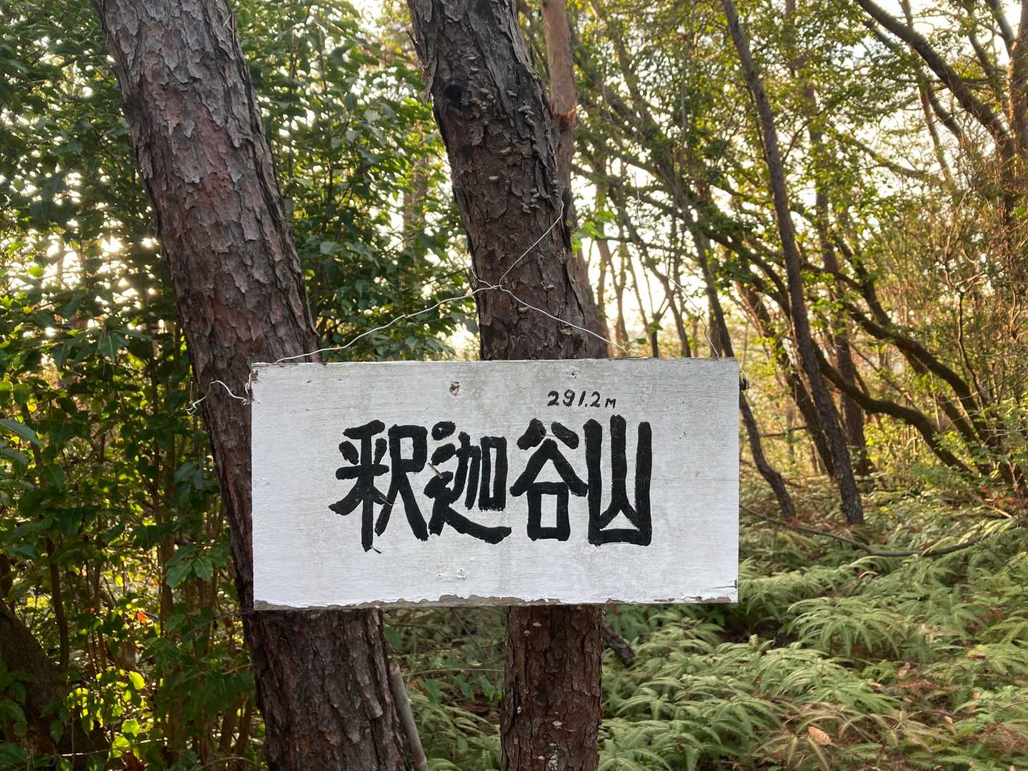 釈迦谷山到着

ここからYAMAPの赤ルート上には、アラートのフィールドメモが多かったので