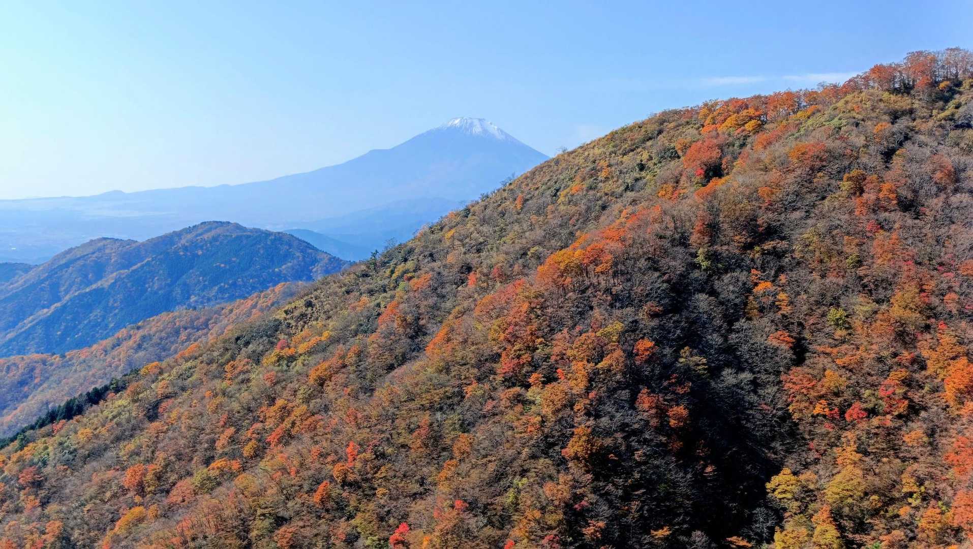 富士山も素晴らしい。