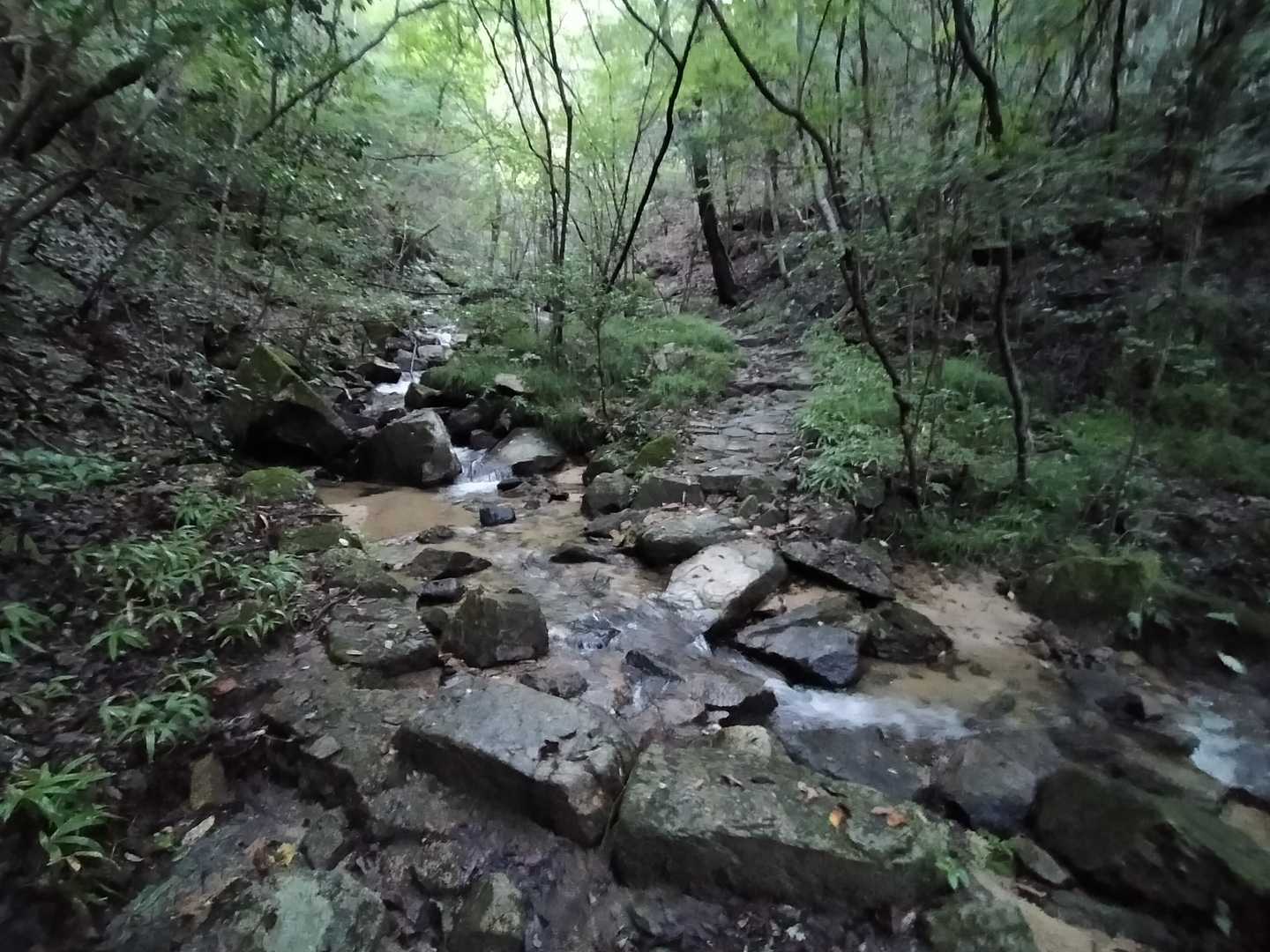 渡渉②