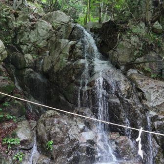 🌿御滝、
水量戻りました。