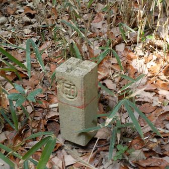 大錫丈山山頂はこのあたりかな
プレートは見つけられず