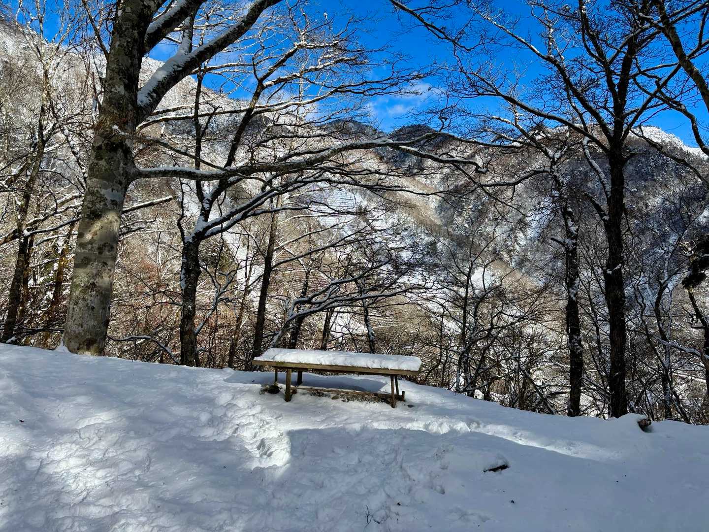 そして蓬峠に到着😊
ベンチの上の雪だけ見ると積雪5cmってどこかな？