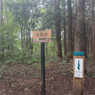 ササッと石堂山231m