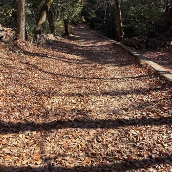 この辺りからは車も通れそうなくらい広いハイキングコースを青梅駅までのんびりと😊