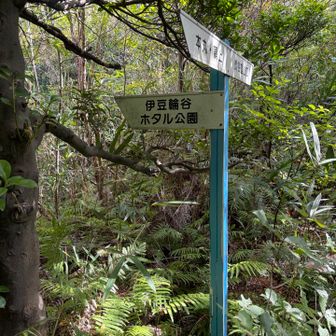 ホタル公園方向に下山。