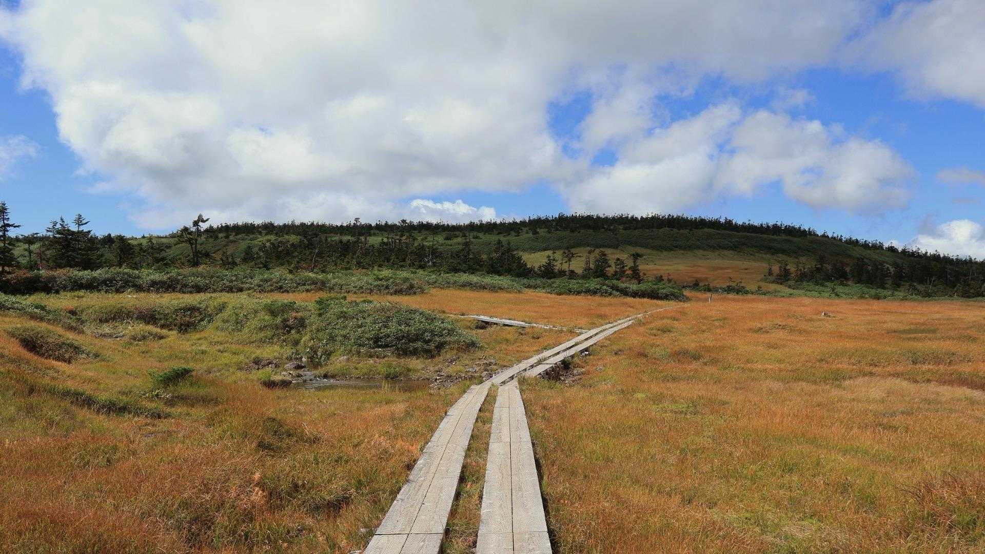 茶臼岳登山口-茶臼岳-源太森-八幡平-八幡平登山口 縦走コースの写真