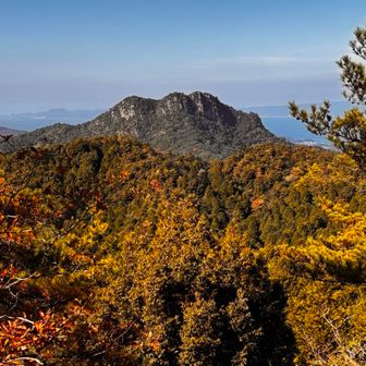 お約束の次郎丸。