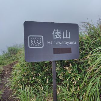 俵山山頂👍すっかりガスに覆われ白い世界です