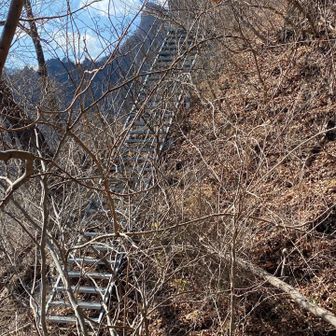 苦手な梯子が出てきましたが、梯子とクサリは信じろと言われたので信じます