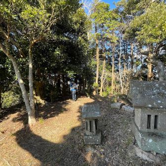 さて山頂での景色を満喫したので下山しま~す☺️