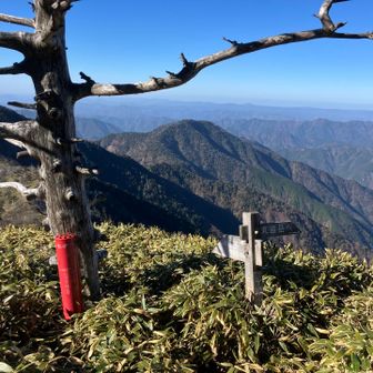 丸盆岳への分岐。いつか行ってみたい！
そしてなぜか吸い殻入れ🧐