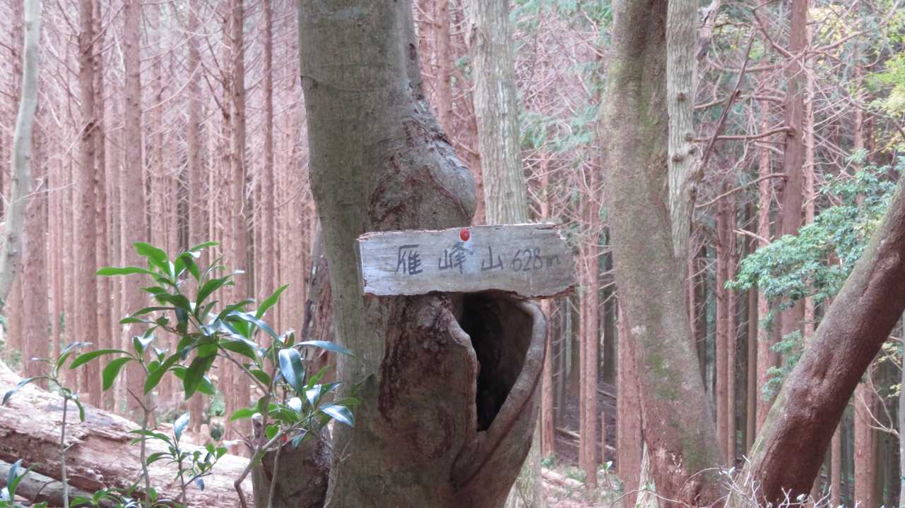 THさんの看板は撤去されちゃったのかな🤔