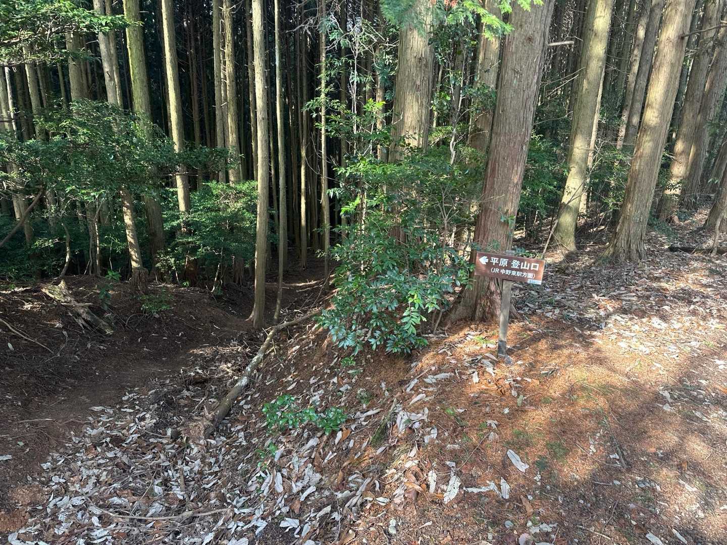 安芸アルプス縦走コースの写真