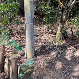 ここからも山頂行けます