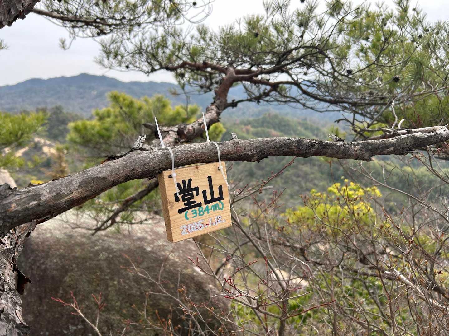堂山 周回コースの写真