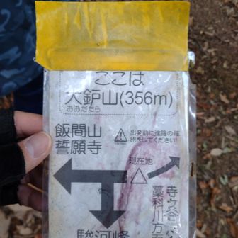 『おおだたら』山