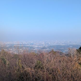 でも、いい眺めだー✨️