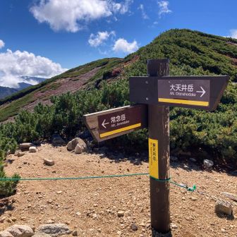 東天井岳分岐