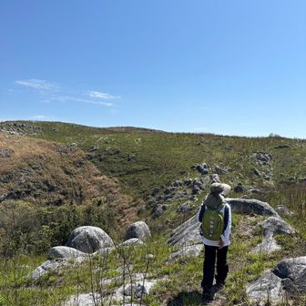 kentamam(けんたママ)