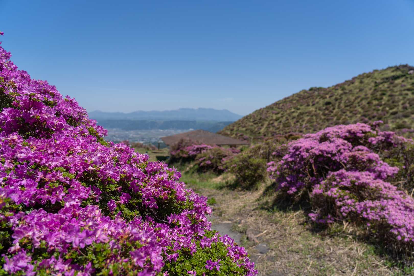 仙酔峡登山口 往復コースの写真