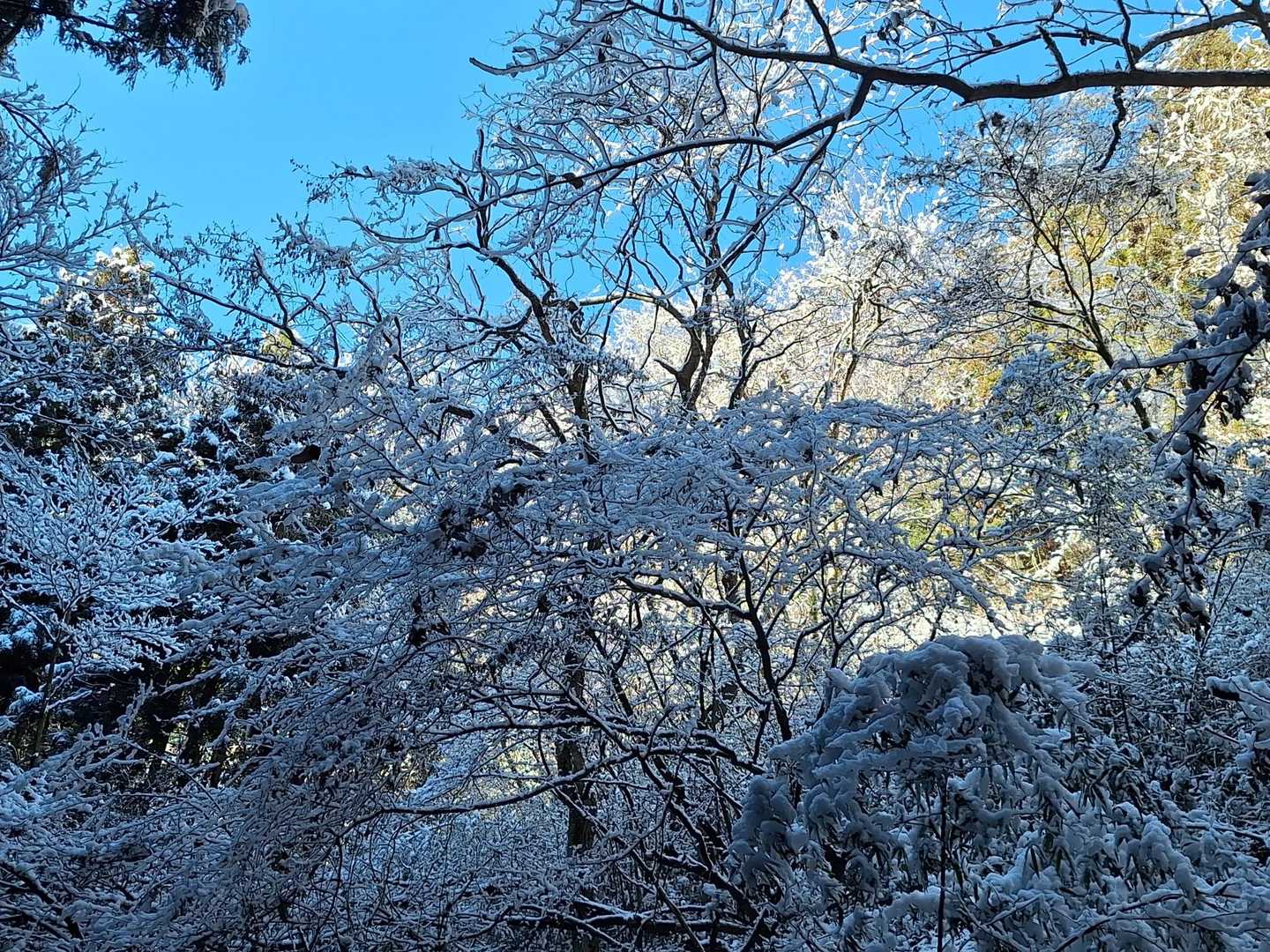 小仏峠-城山 往復コースの写真