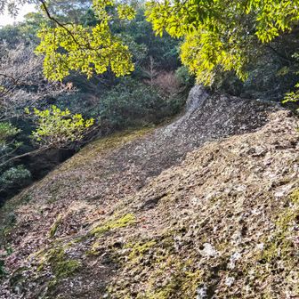 でっかい岩肌
登山道は右上