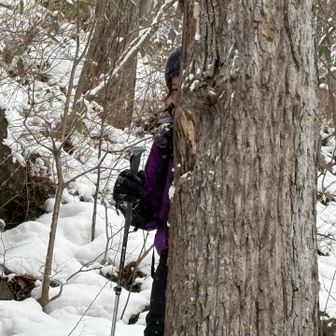 😱隠れて見てるよ🥷笑
ちょこちょこなんかやりたいのね😂👌

1/1 11時11分に小屋に下山✨