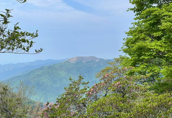 白髪山（高知・1770m）| 登山ルート・天気 | YAMAP / ヤマップ