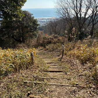 YouTubeで歩いている人の動画を見たときは、ここは草が生い茂っていて道が見えなくなっていましたが、今は整備されてます。トレランのコースですからね。