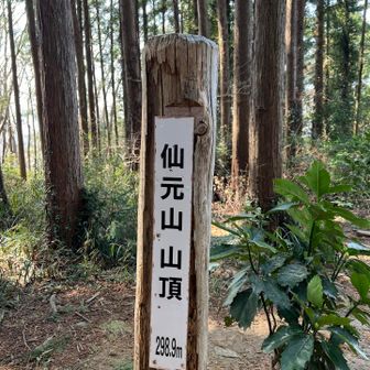 仙元山山頂♪
山頂ではウクレレの生演奏がありました🤗
思いがけない場所で聴く歌詞が沁みて、ちょっと泣けてきた🥹