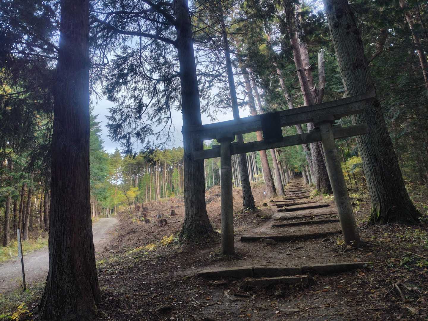 久しぶりです
よろしくお願いします