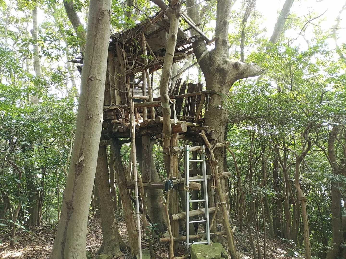 🏡