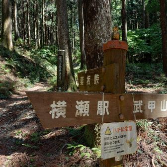無事下山。