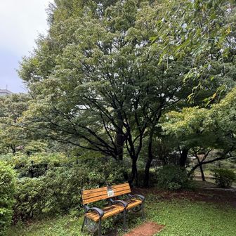 山頂にベンチあり