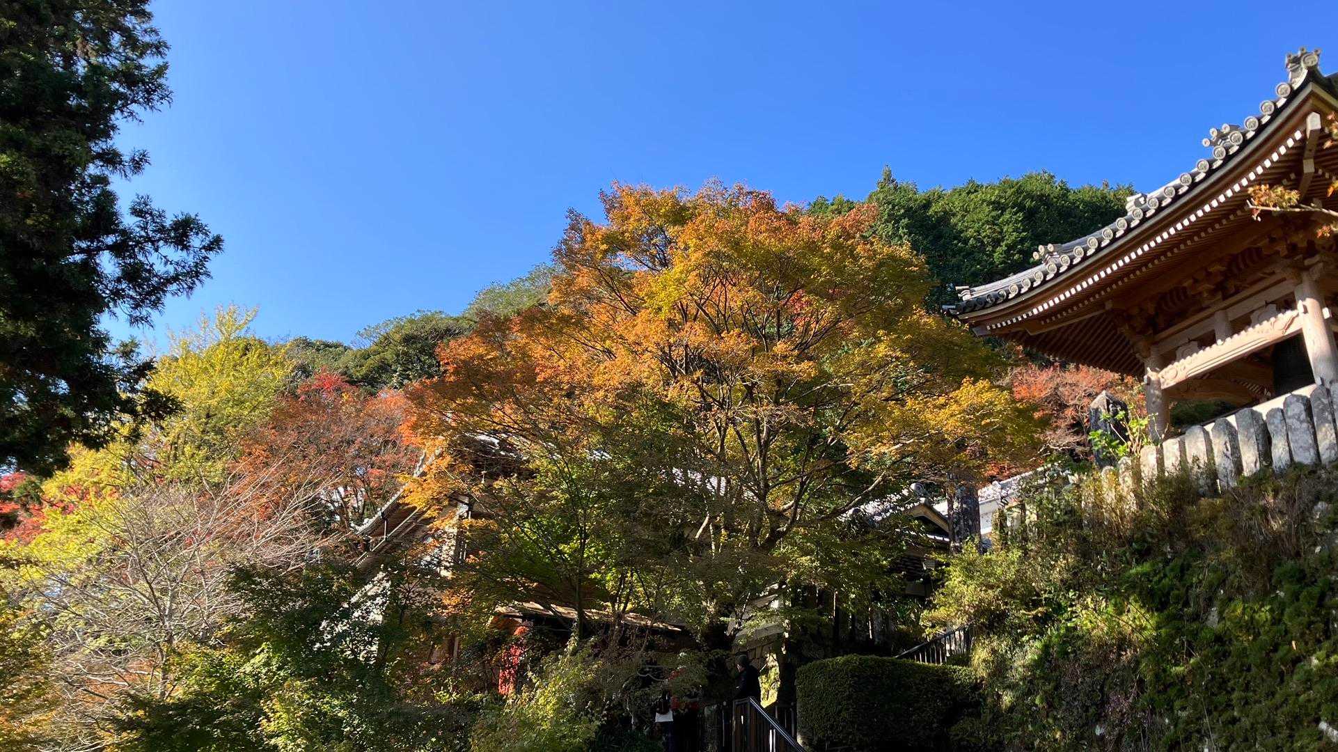 来れてよかった😊
素敵なところでした