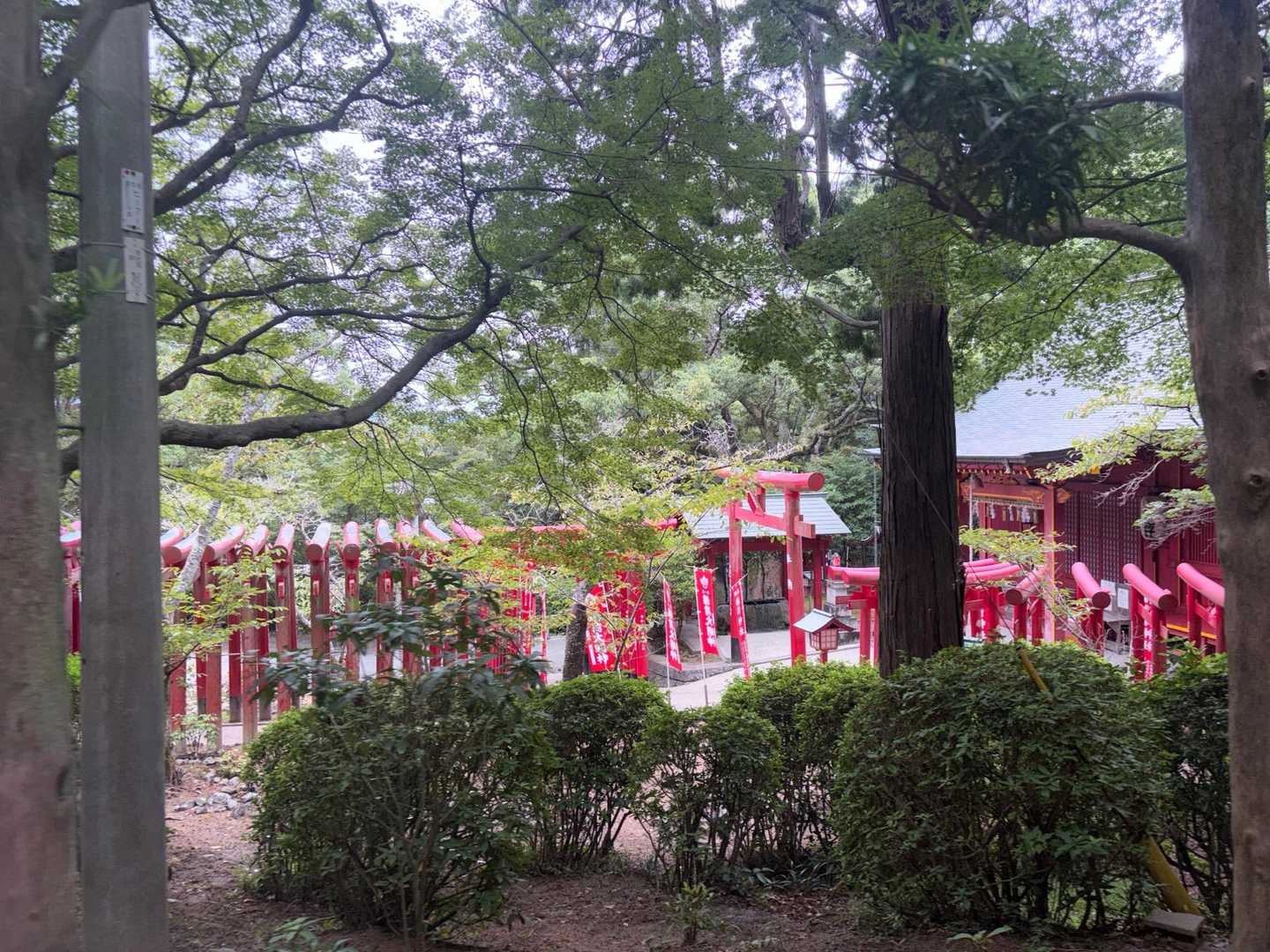 お稲荷様です⛩