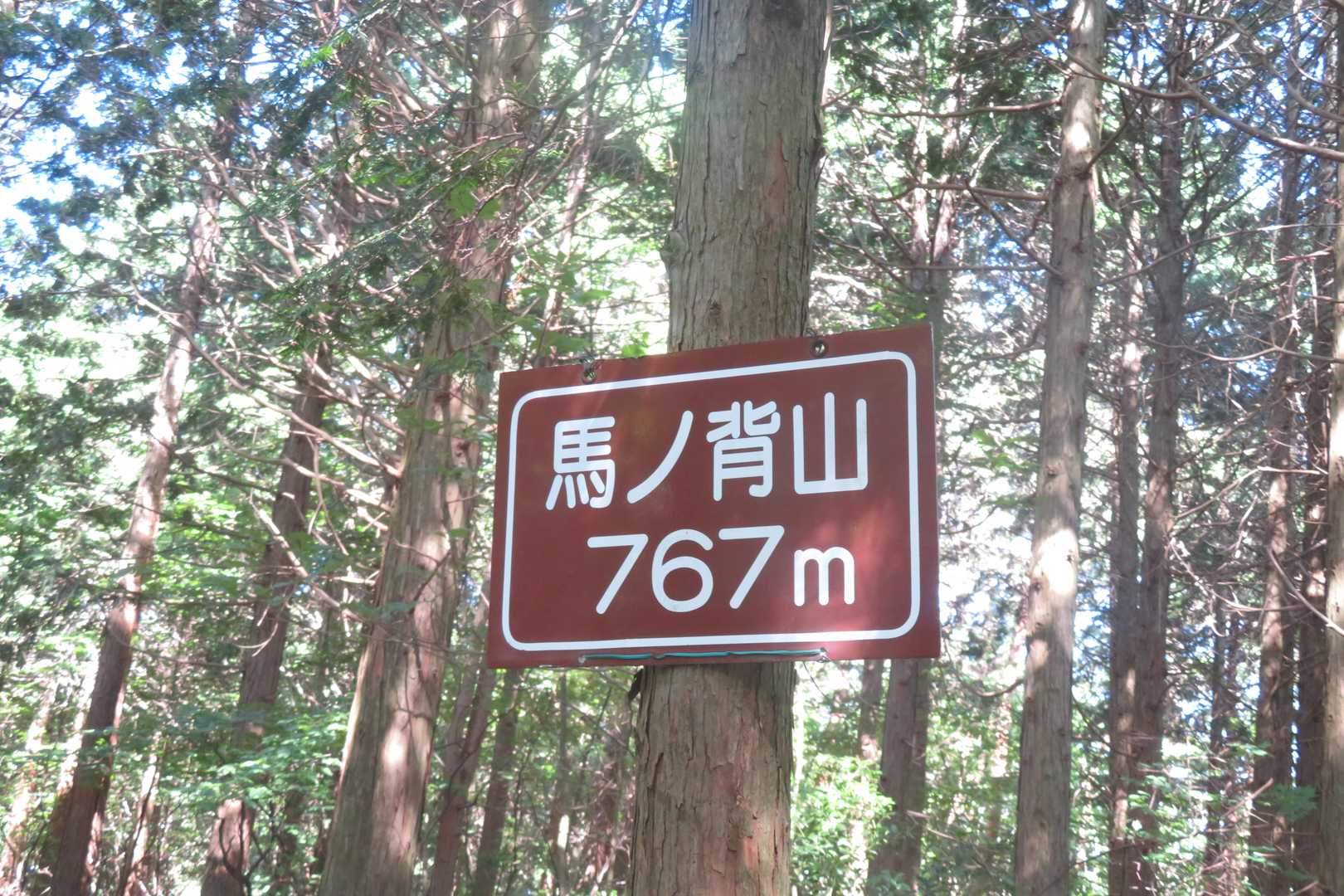 馬ノ背山