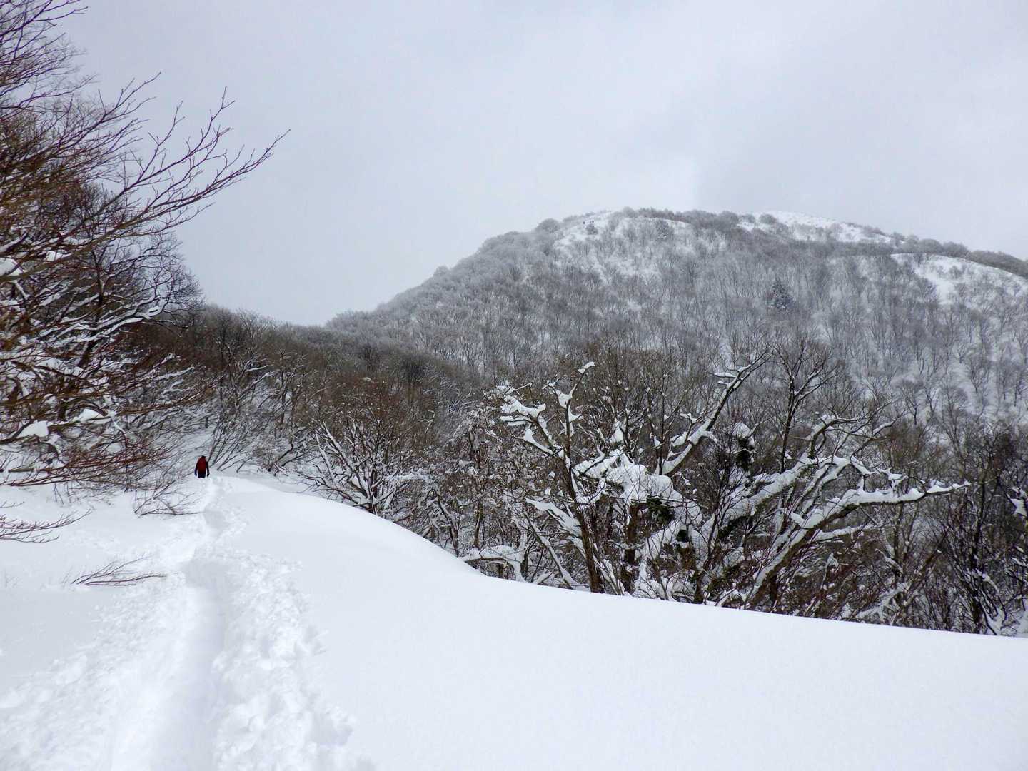 権現山は目の前
目的地の白兀山はその奥