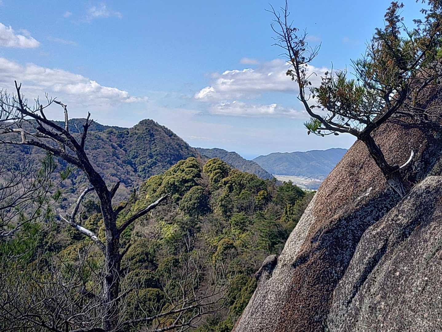 大黒山-大梅山 周回コースの写真