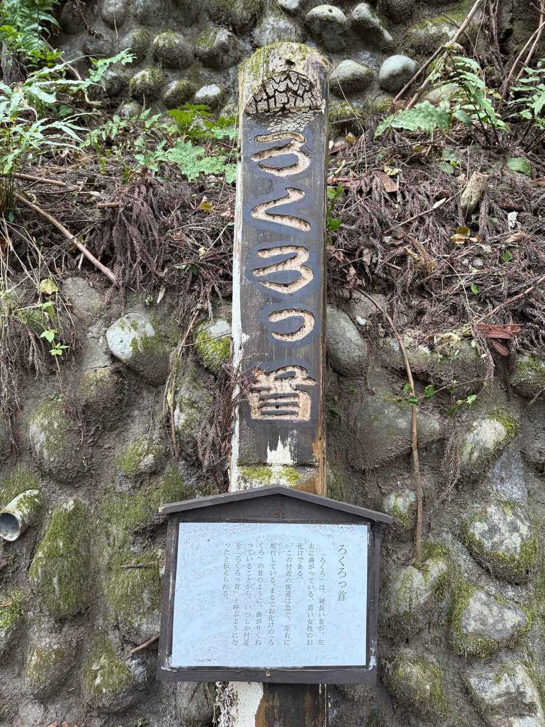 滝本駅-日の出山 往復コースの写真