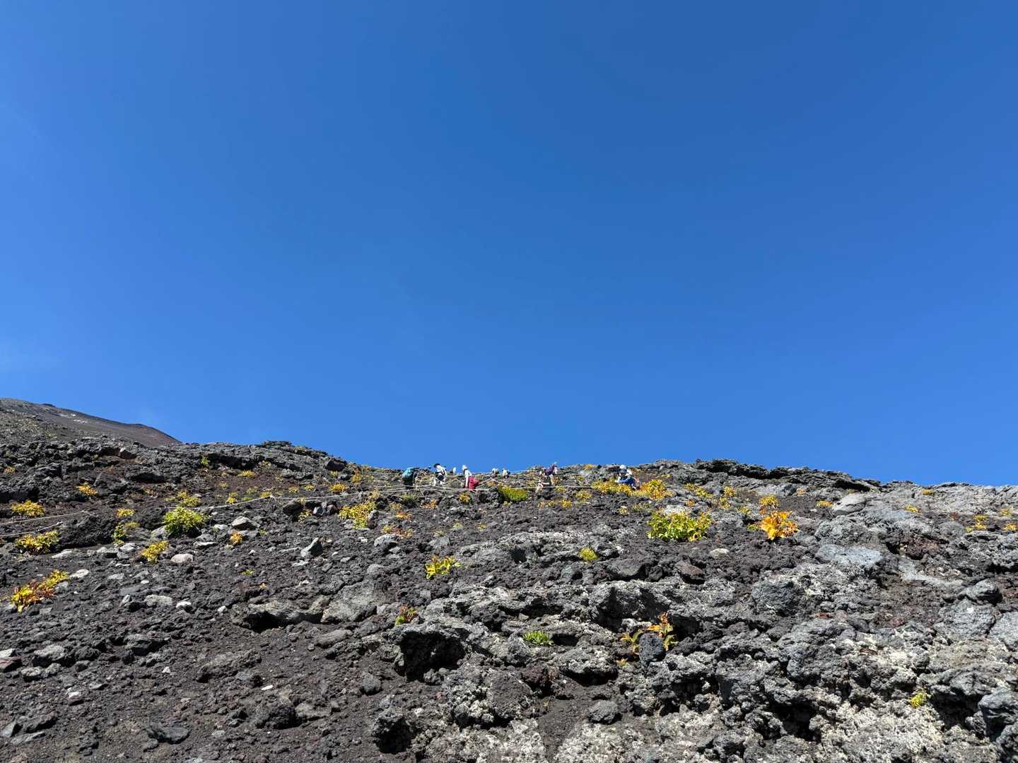 必死に登ります