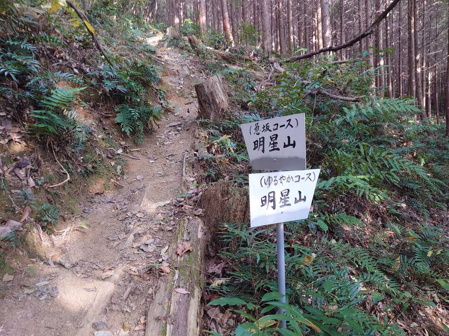 では、せっかくなので、急坂コース👆で明星山のピークハントへ