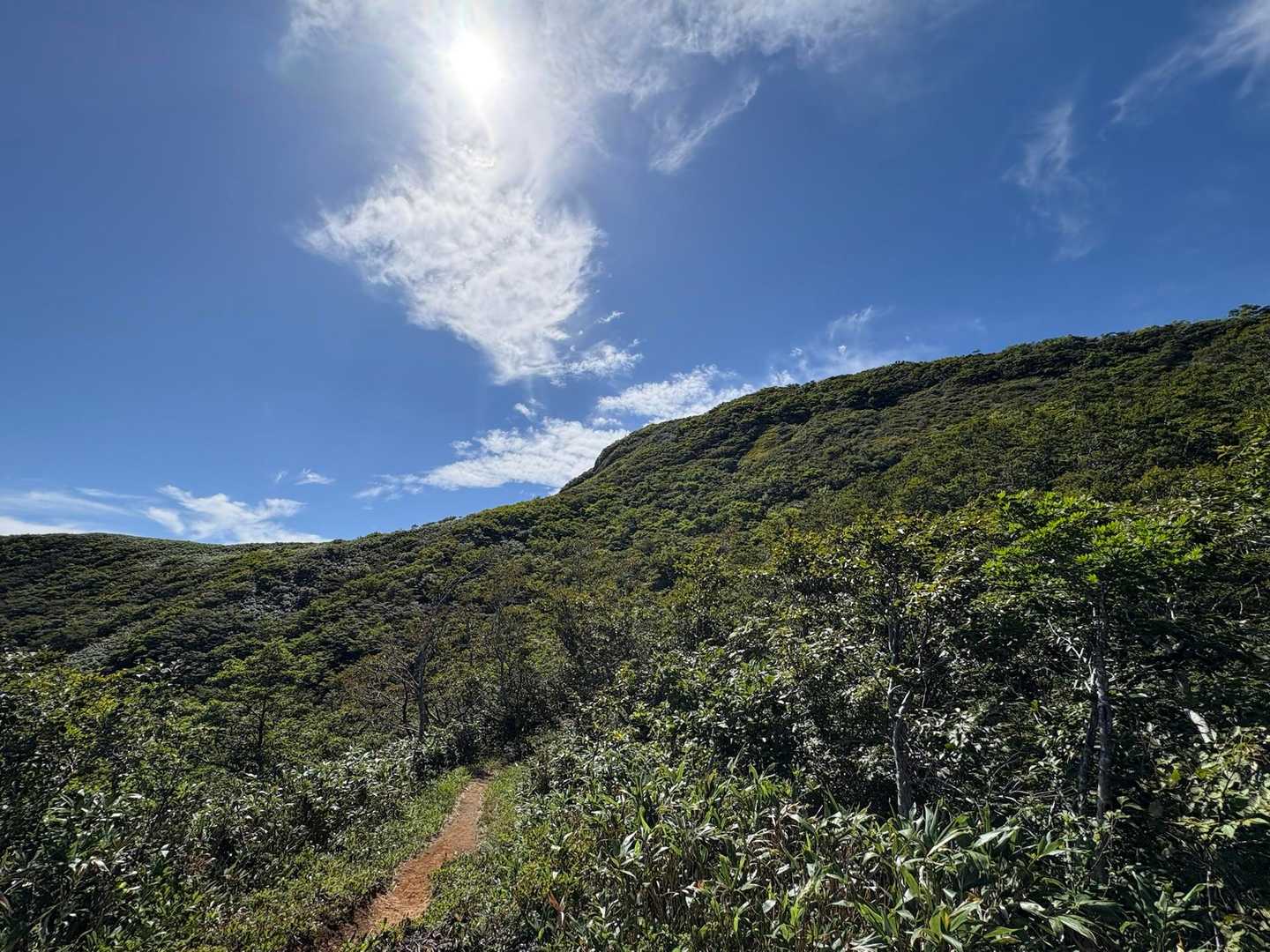 冠山峠-冠山 往復コースの写真