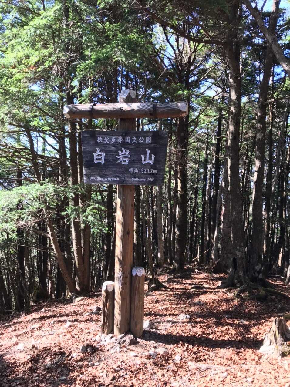 白岩山の写真