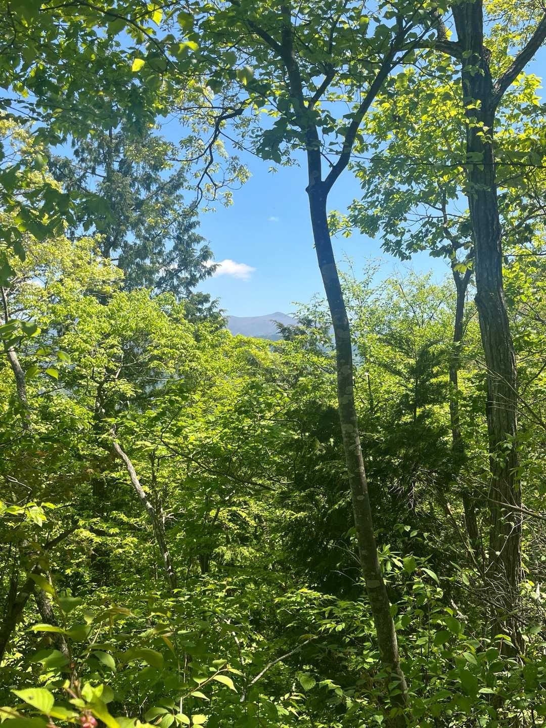 山形神室がキレイに見えてる😍